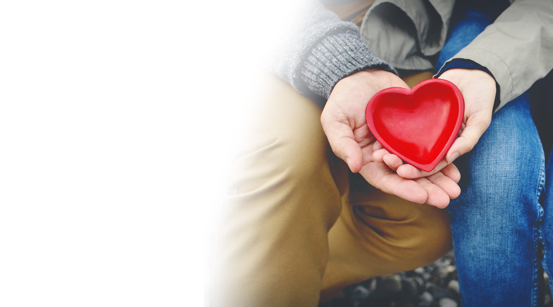 Cardiovascular Diagnosis & Heart Health Treatment Specialist Camden ...